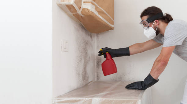 Professional Crawl Space Mold Remediation technician working in Nottingham, MD